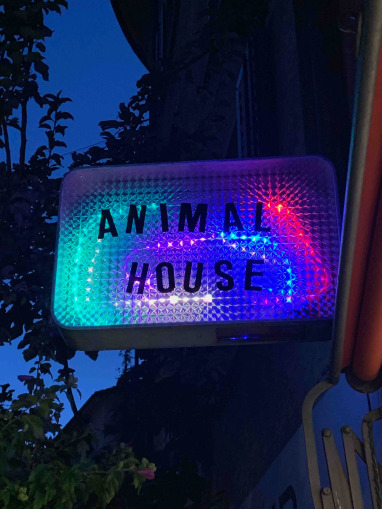 AUSSTELLUNG N° 28 – Dominik His, René Fahrni, «Animal House» 6.9.–22.9.2023