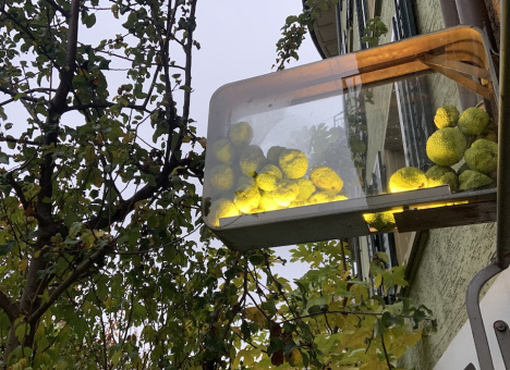 AUSSTELLUNG N° 36 –Georgette Maag, Ursula Palla, «Morsche Brocken, frisches Grün.» 30.10.–21.11.2024 